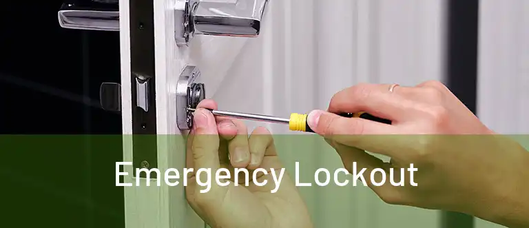  Emergency Lockout 